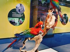 -国家自然博物馆