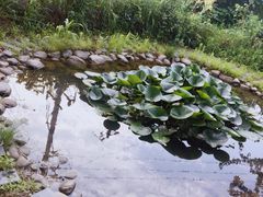 -北京瑞麟湾温泉度假酒店
