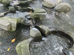 -成都市活水公园