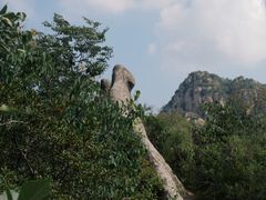 -大岭沟猕猴桃谷风景区