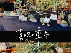 -苏州本色美术馆