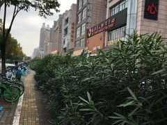 -大唐盲人按摩中心(怀宁路新粮仓店)