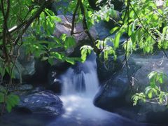 -广州白江湖森林公园