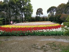 android_upload_pic-上海鲜花港