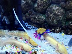 -洛阳龙门海洋馆