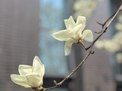 -南京工程学院(江宁校区)