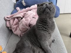 -博特宠物医院24h犬猫全科.骨科·异宠