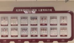 -北京新世纪妇幼医院·产检·分娩·计生(望京院区)