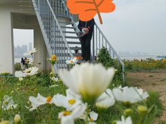 -武昌江滩