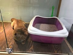 -乐宠宠物店(世纪金源店)