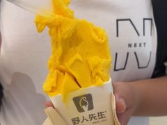 -野人先生现做冰淇淋(深圳壹方城店)