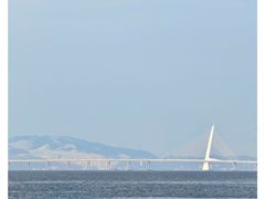 -深圳湾公园(南山区)
