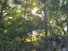-绮园景区