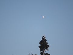 -千岛湖东南湖区