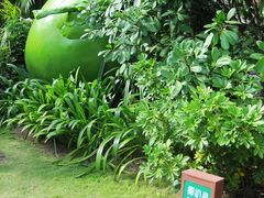 -三亚珠江南田温泉度假区