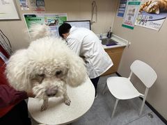 -安安宠医·臻爱宠物医院·宠保定点(营门口路分院)