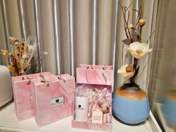 -三只熊皮肤管理中心