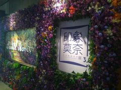 -印象莫奈时光映迹艺术展