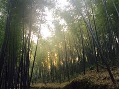 -广州市石门国家森林公园