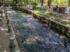 -水磨沟公园