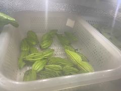 -汤锅大王(新平曹苏黄牛汤锅有限公司)