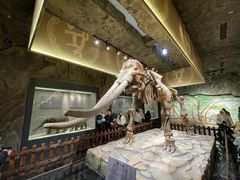 -白帝城·瞿塘峡景区