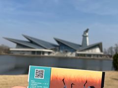 -盐城丹顶鹤湿地生态旅游区