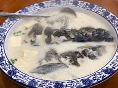 -全乐鱼馆·淳牌有机鱼直营店