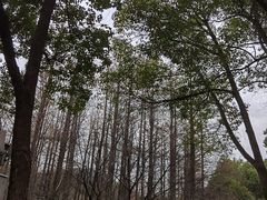 -合肥野生动物园