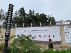 -青岛贝壳博物馆