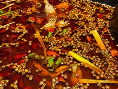 红油味钵钵鸡-嘉州叶婆婆钵钵鸡(建设路店)