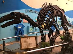 -陕西自然博物馆