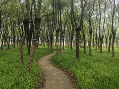 -嘉北郊野公园