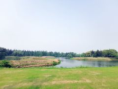 -太阳岛度假酒店