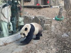 -大连森林动物园