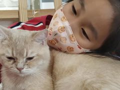 -平行世界·猫咖(首经贸店)