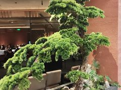 -许爷家·生态湖鲜(徐汇日月光店)