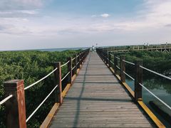 -北海金海湾红树林生态旅游区