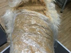 -瑞派宠物医院·24小时骨科·心脏·核磁(哈尔滨南岗店)