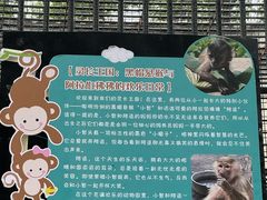 -保定市动物园
