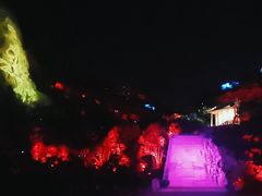 -印象普陀