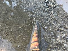 -北海金海湾红树林生态旅游区