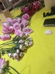 -贝瑞佳月子会所(杭州旗舰店)