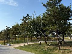 -汉长安城未央宫国家考古遗址公园