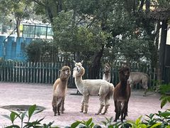 -无锡动物园·太湖欢乐园