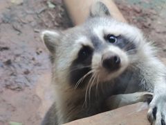 -昆明动物园