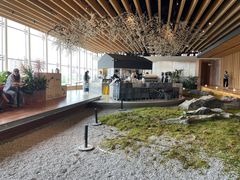 -Seesaw Coffee(朝阳大悦城店)