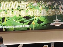 -在莲野·湖北民间菜·头牌松滋鸡(光谷步行街店)
