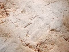 松糕-南大门韩国米糕(公滨路店)