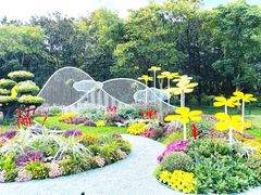 -上海共青森林公园